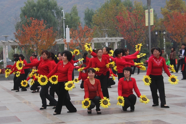 魅力四射的廣場(chǎng)舞贏得滿場(chǎng)喝彩