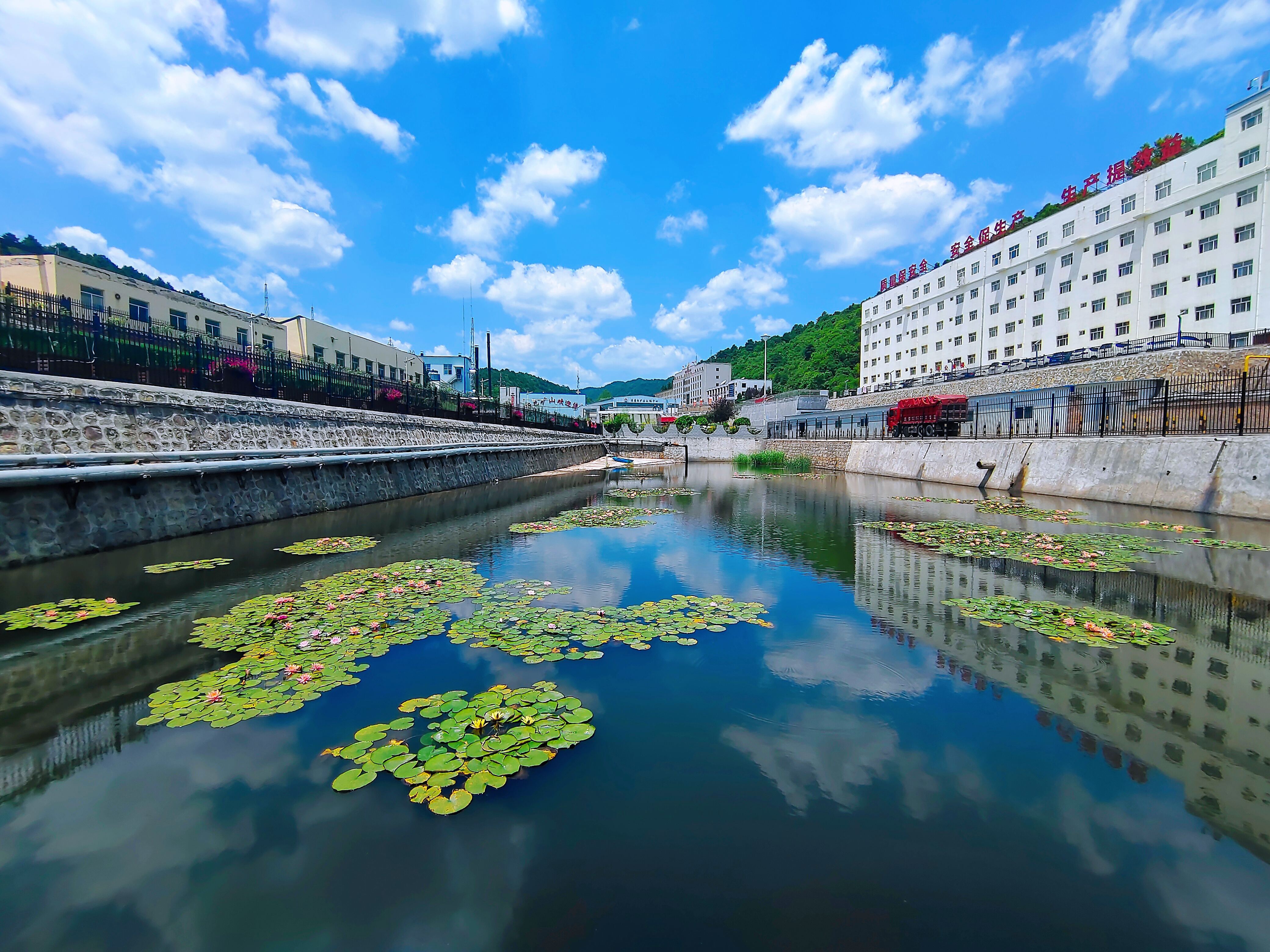 礦區(qū)的清水池內，翠綠水草在水面搖曳。